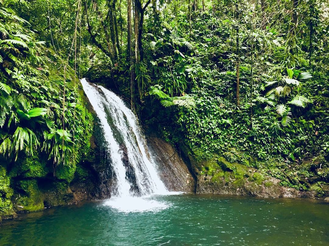 Swimming at Cascade aux Écrevisses, in Guadeloupe National Park